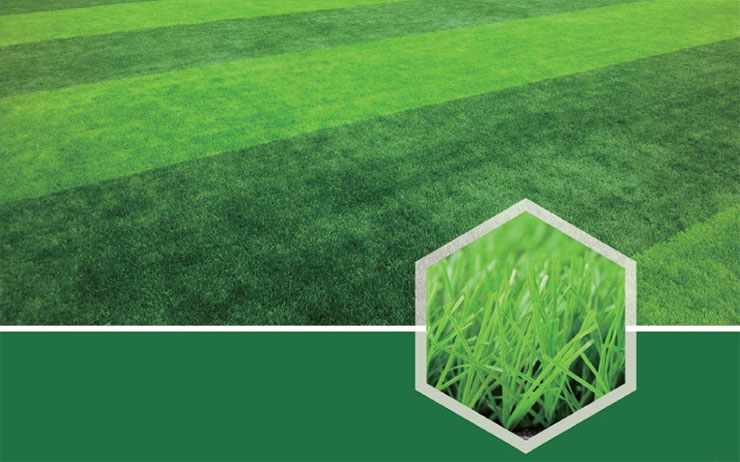 足球場人造草坪