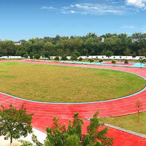 全塑型自結(jié)紋跑道